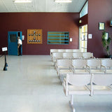 Polyflor Standard XL 1.5mm Vinyl Exen Flooring