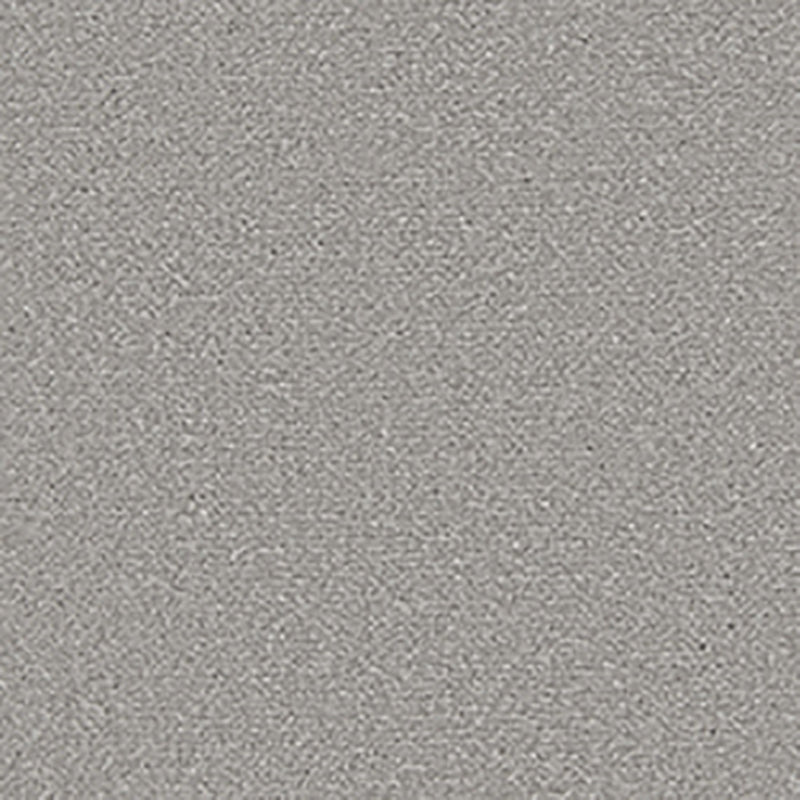 Apollo Plus Carpet