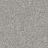 Apollo Plus Carpet