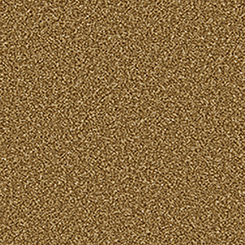 Apollo Plus Carpet