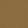 Apollo Plus Carpet