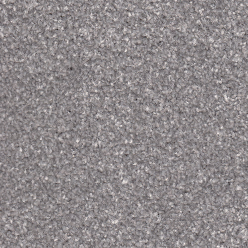 Apollo Plus Carpet