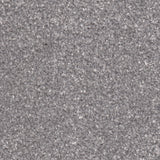 Apollo Plus Carpet