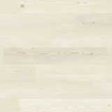 Karndean Knight LVT Exen Flooring