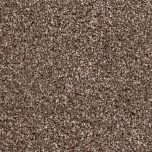 Apollo Plus Carpet