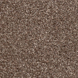 Apollo Plus Carpet