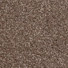Apollo Plus Carpet