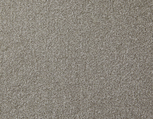Apollo Plus Carpet