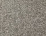 Apollo Plus Carpet
