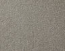 Apollo Plus Carpet