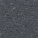 Polyflor 2000 PUR Vinyl Exen Flooring