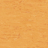 Polyflor 2000 PUR Vinyl Exen Flooring