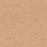 Polyflor 2000 PUR Vinyl Exen Flooring