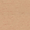 Polyflor 2000 PUR Vinyl Exen Flooring