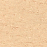 Polyflor 2000 PUR Vinyl Exen Flooring