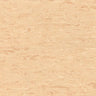 Polyflor 2000 PUR Vinyl Exen Flooring
