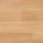 Polyflor Acoustix Forest fx PUR Exen Flooring