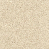 Polyflor Classic Mystique Vinyl Exen Flooring