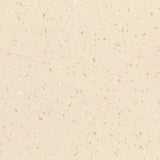 Polyflor Palettone PUR Vinyl Exen Flooring