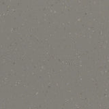 Polyflor Palettone PUR Vinyl Exen Flooring