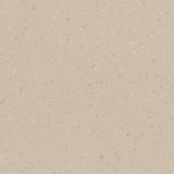 Polyflor Palettone PUR Vinyl Exen Flooring