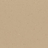 Polyflor Palettone PUR Vinyl Exen Flooring