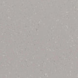 Polyflor Palettone SD Vinyl Exen Flooring