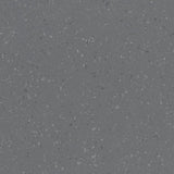 Polyflor Palettone SD Vinyl Exen Flooring