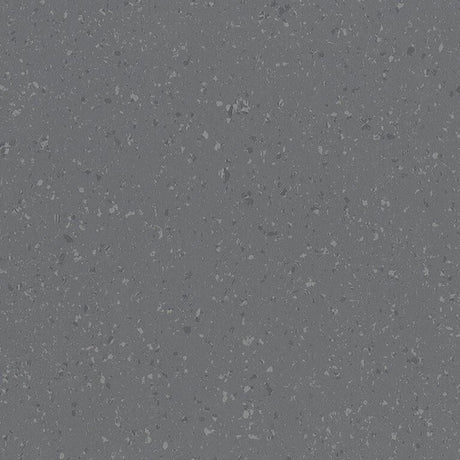 Polyflor Palettone SD Vinyl Exen Flooring