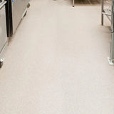 Polyflor Polysafe Apex Vinyl Exen Flooring