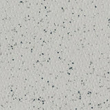 Polyflor Polysafe Hydro Evolve Vinyl Exen Flooring