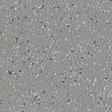 Polyflor Polysafe Hydro Evolve Vinyl Exen Flooring