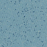 Polyflor Polysafe Hydro Evolve Vinyl Exen Flooring