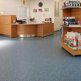 Polyflor Polysafe Mosaic PUR Vinyl Exen Flooring