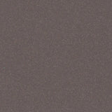 Polyflor Polysafe QuickLay PUR Vinyl Exen Flooring