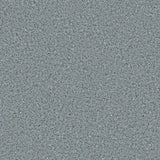 Polyflor Polysafe Standard PUR 2.5mm Vinyl Exen Flooring