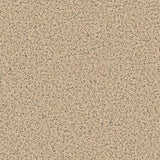 Polyflor Polysafe Standard PUR 2.5mm Vinyl Exen Flooring
