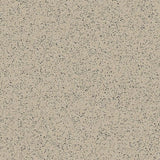 Polyflor Polysafe Standard PUR 2mm Vinyl Exen Flooring