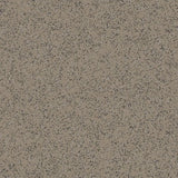 Polyflor Polysafe Standard PUR 2mm Vinyl Exen Flooring
