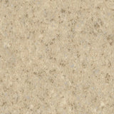 Polyflor Polysafe Stone fx PUR Vinyl Exen Flooring