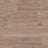 ExenFlooring_VanGoghPlank_vgw83t_frostedbirch_jpg - Exen Flooring