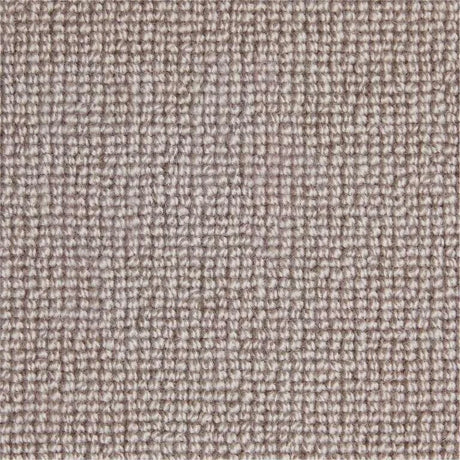 Westex Barrington Loop Carpet Exen Flooring