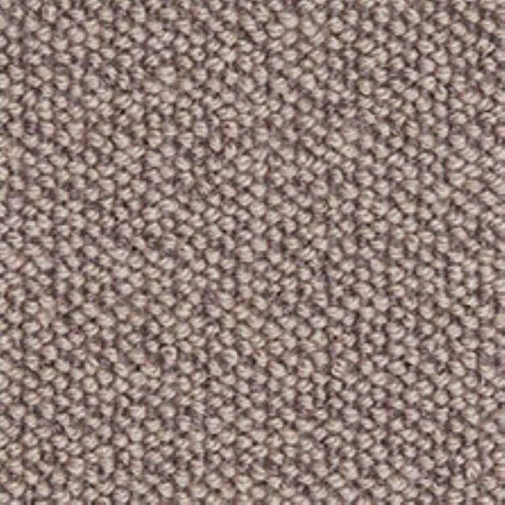 Westex Briar Natural Loop Carpet Exen Flooring