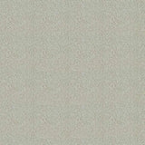 Westex Elysian Celestial Carpet Exen Flooring