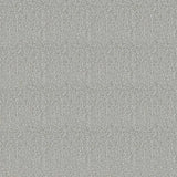 Westex Elysian Celestial Carpet Exen Flooring