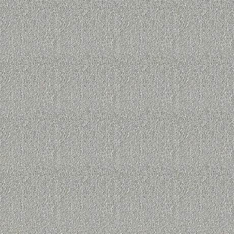 Westex Elysian Celestial Carpet Exen Flooring