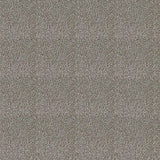Westex Elysian Celestial Carpet Exen Flooring