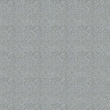 Westex Elysian Celestial Carpet Exen Flooring