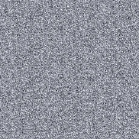 Westex Elysian Celestial Carpet Exen Flooring