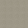 Westex Elysian Celestial Carpet Exen Flooring